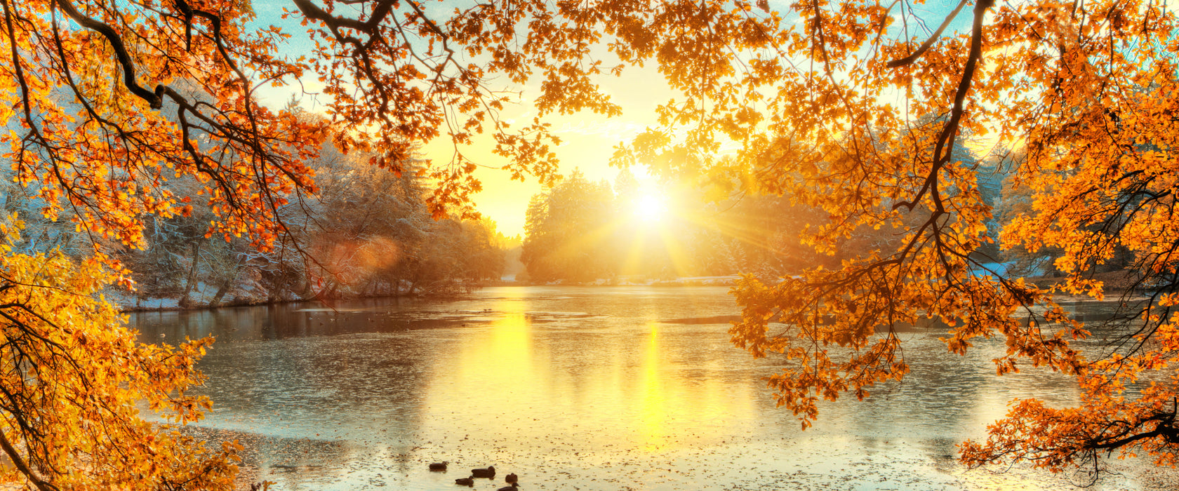 Herbstbäume um See bei Sonnenuntergang, Glasbild Panorama