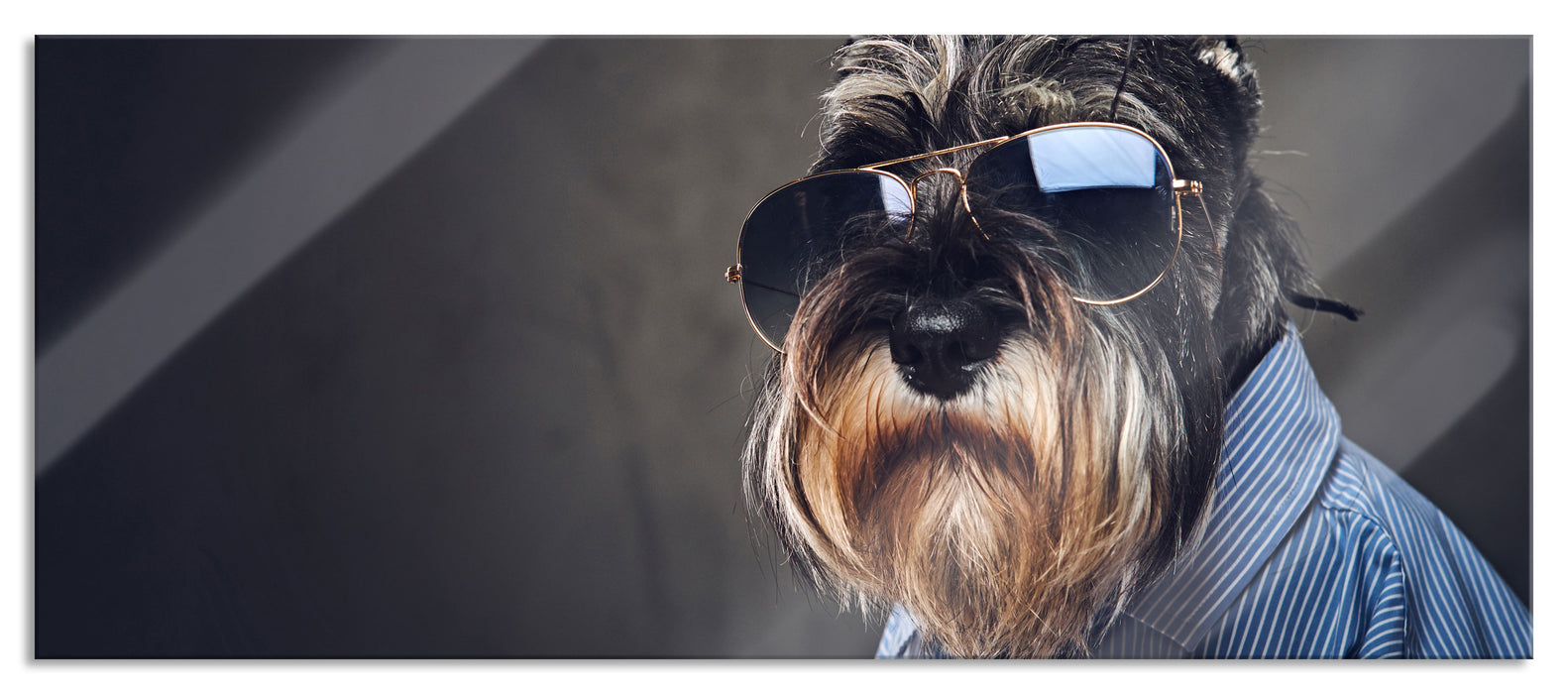 Pixxprint Lustiger Hund mit Hemd und Sonnenbrille, Glasbild Panorama