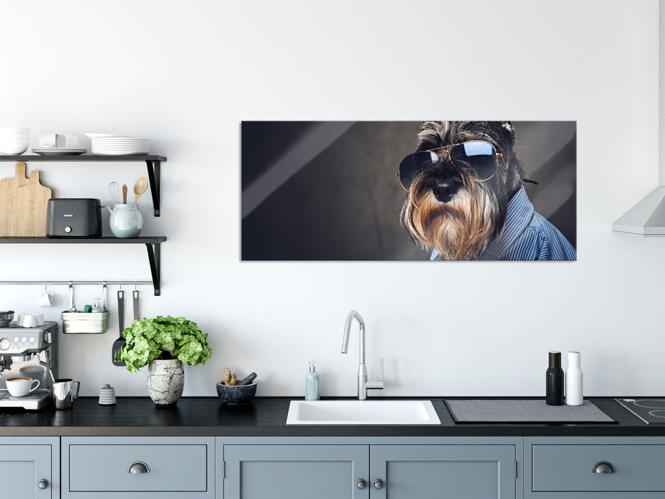 Lustiger Hund mit Hemd und Sonnenbrille, Glasbild Panorama