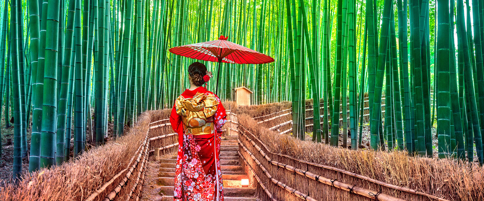 Frau im janapischen Kimono im Bambuswald, Glasbild Panorama