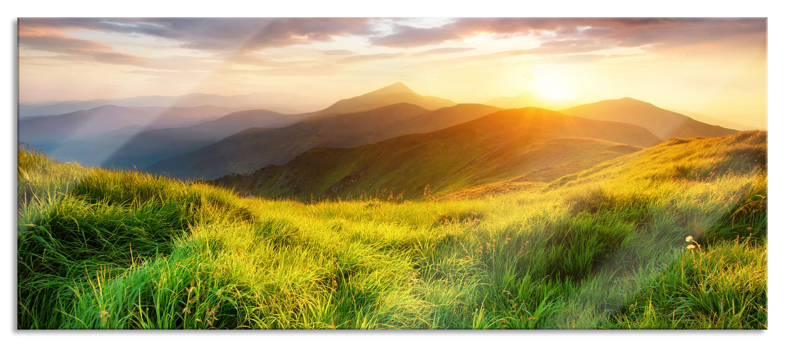 Pixxprint Sommerliche Bergwiese Sonnenuntergang, Glasbild Panorama