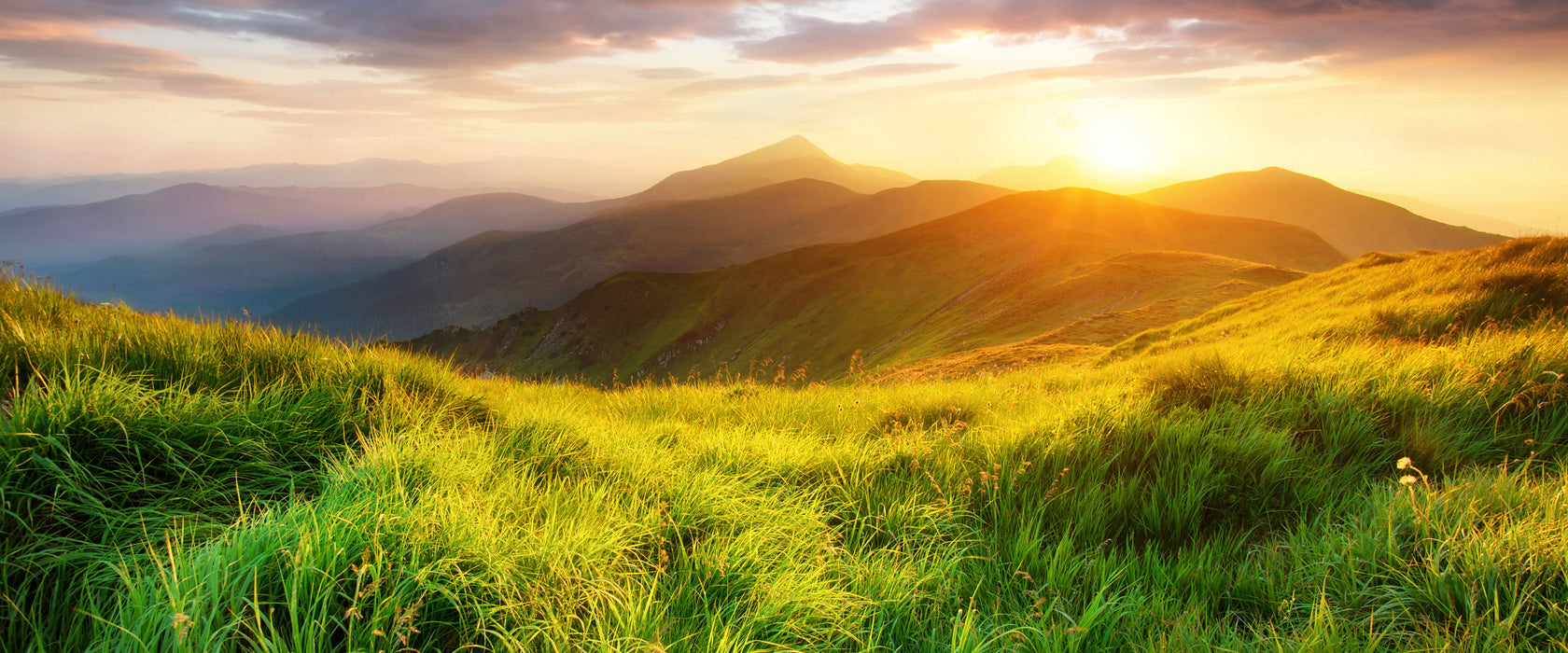 Sommerliche Bergwiese Sonnenuntergang, Glasbild Panorama