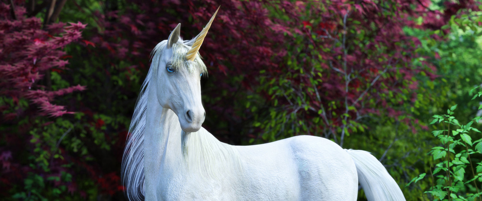 Majestätisches Einhorn in Waldsee, Glasbild Panorama