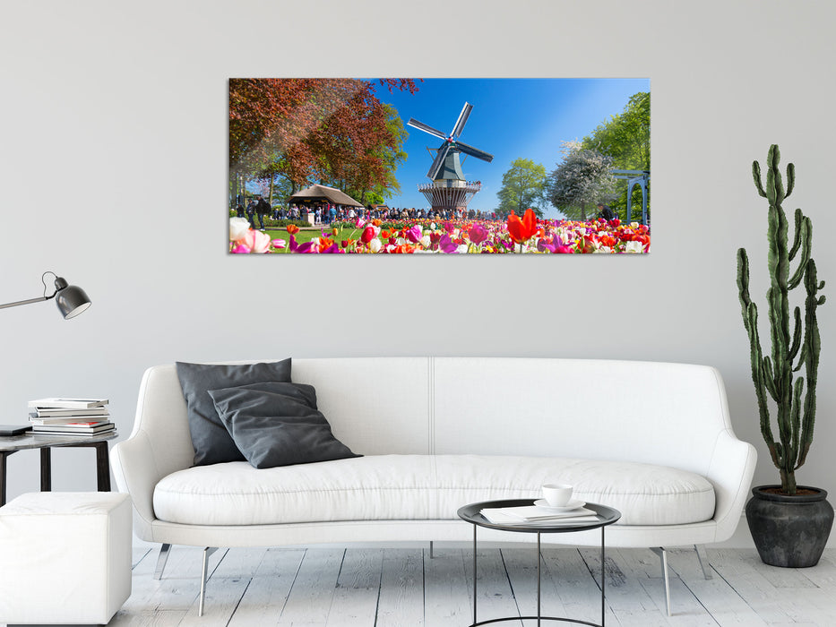 Holländisches Tulpenmeer vor Windmühle, Glasbild Panorama