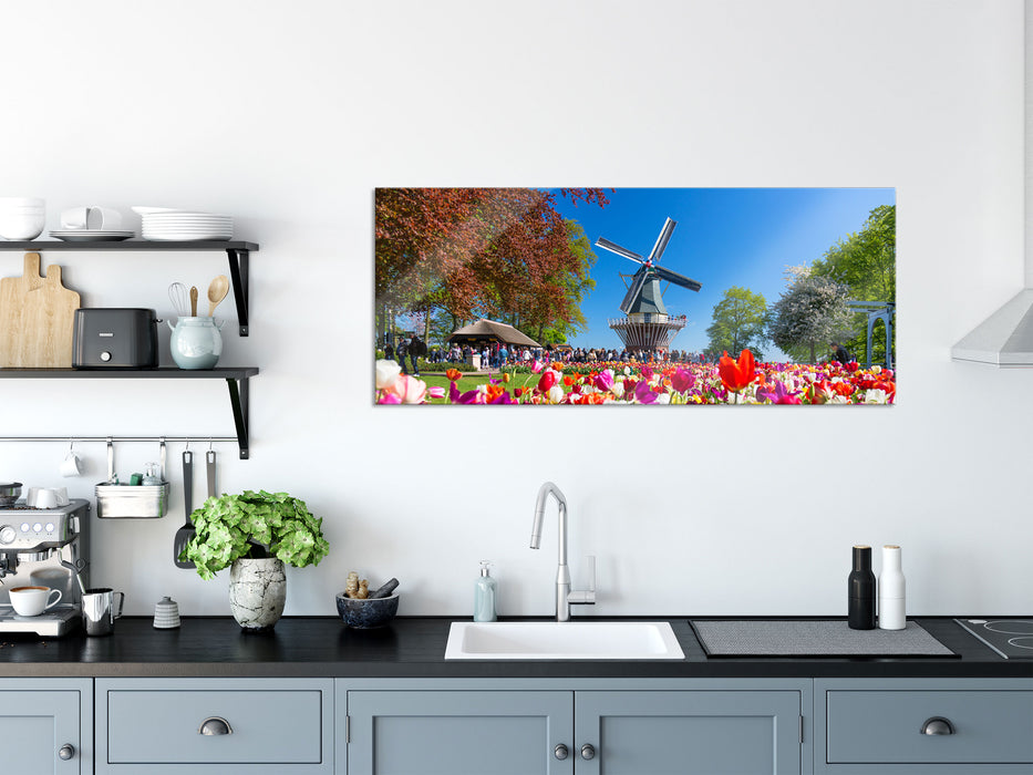 Holländisches Tulpenmeer vor Windmühle, Glasbild Panorama