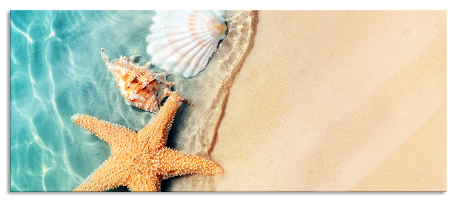 Pixxprint Seestern und Muscheln am Strand, Glasbild Panorama