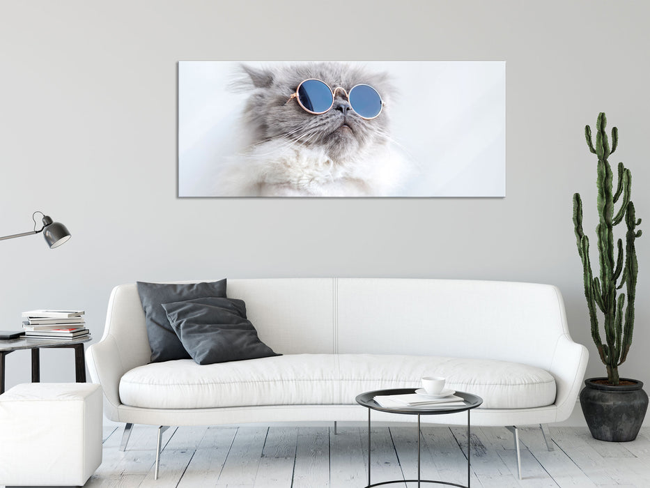 Coole Katze mit runder Sonnenbrille, Glasbild Panorama