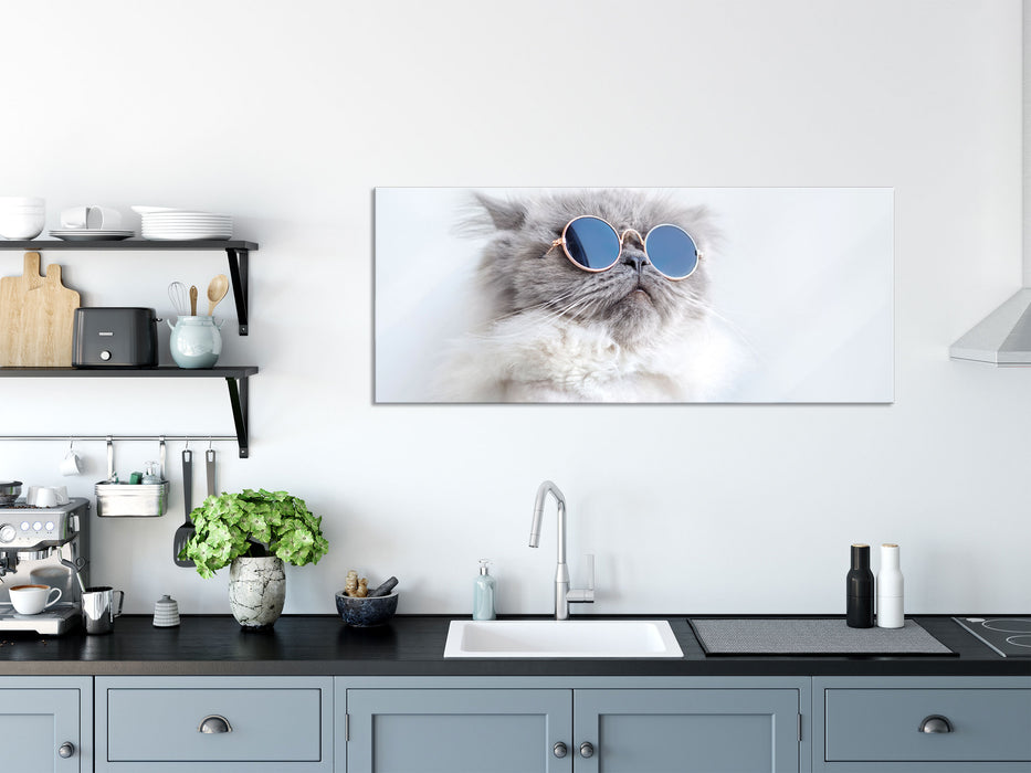 Coole Katze mit runder Sonnenbrille, Glasbild Panorama