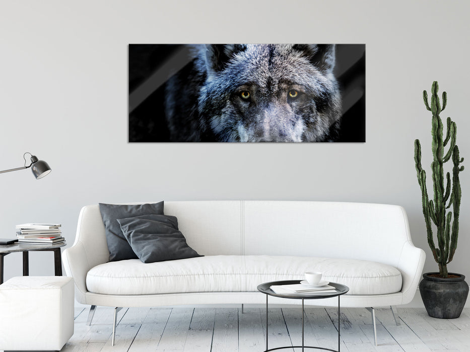 Nahaufnahme Wolf mit gelben Augen, Glasbild Panorama