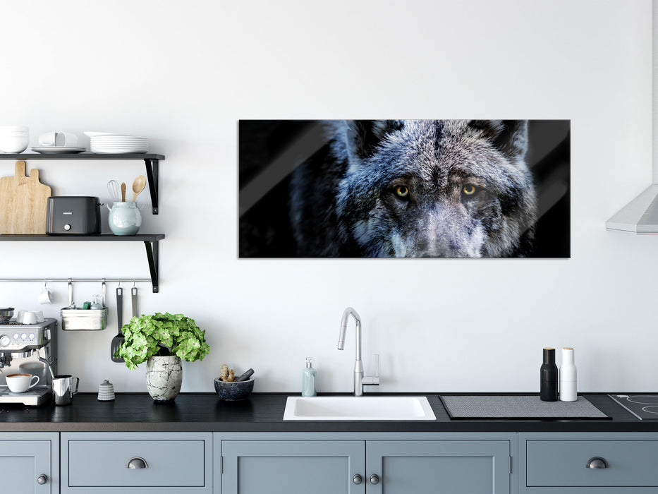 Nahaufnahme Wolf mit gelben Augen, Glasbild Panorama