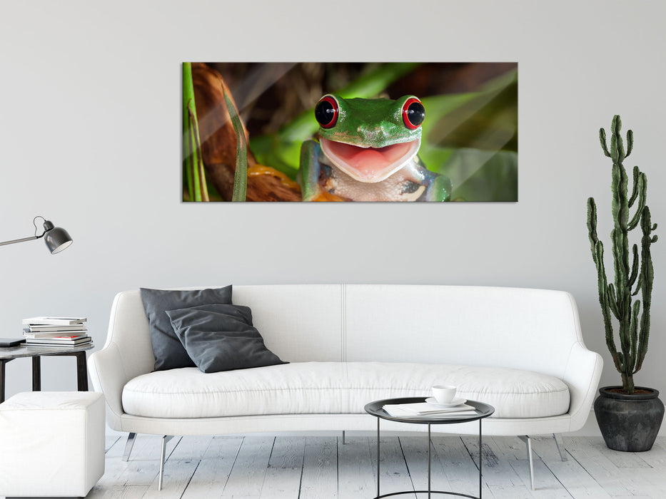 Lachender Frosch mit roten Augen auf Ast, Glasbild Panorama