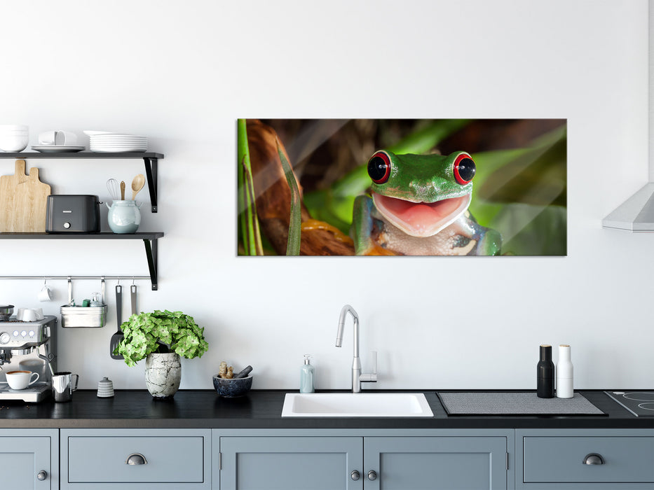 Lachender Frosch mit roten Augen auf Ast, Glasbild Panorama