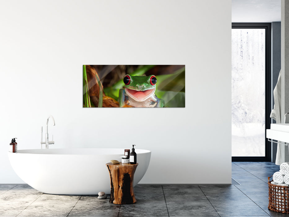 Lachender Frosch mit roten Augen auf Ast, Glasbild Panorama