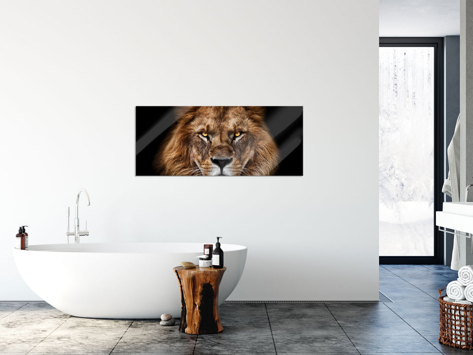 Mächtiger Löwe mit gelben Augen, Glasbild Panorama