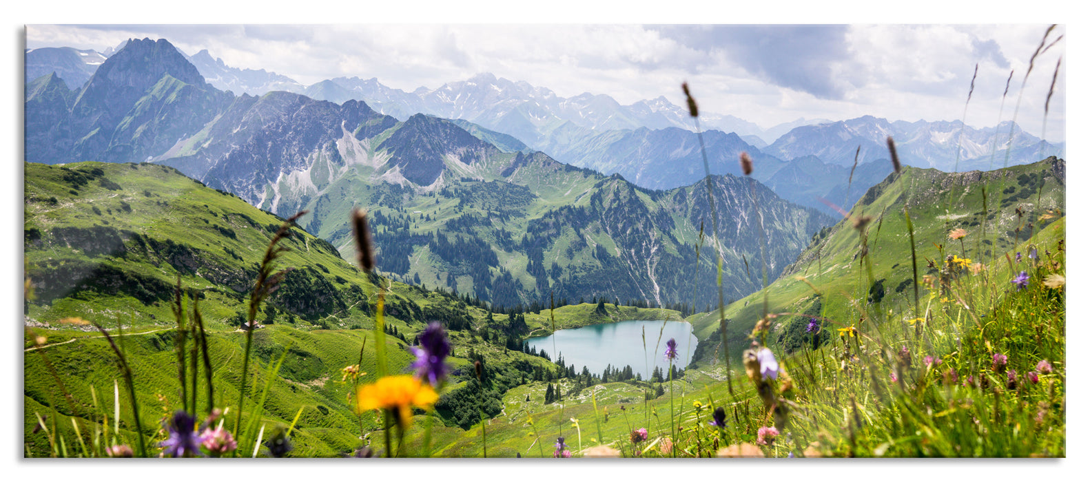 Pixxprint Wiesenblumen in den Bergen, Glasbild Panorama