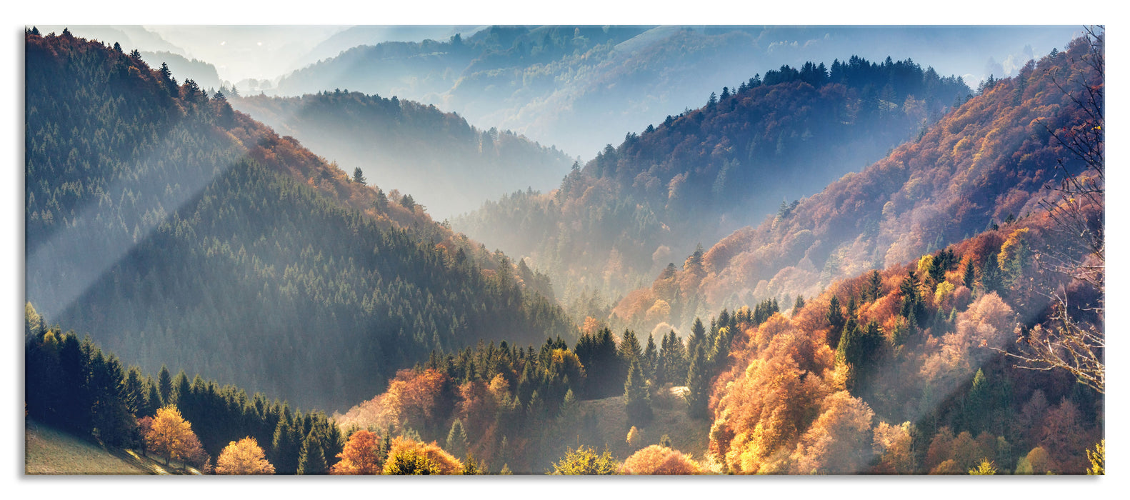 Pixxprint Nebelige Berglandschaft im Herbst, Glasbild Panorama