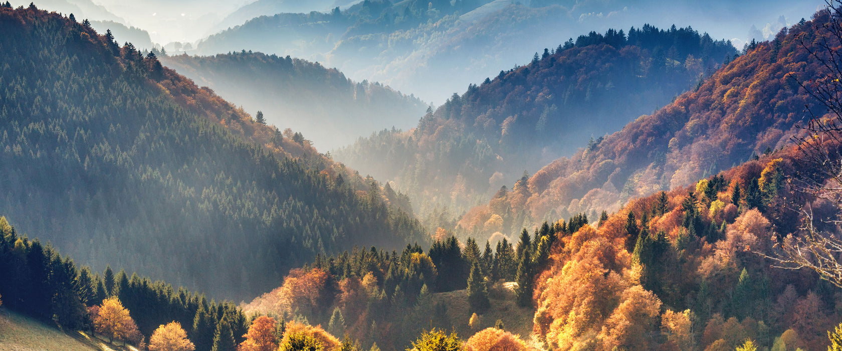 Nebelige Berglandschaft im Herbst, Glasbild Panorama