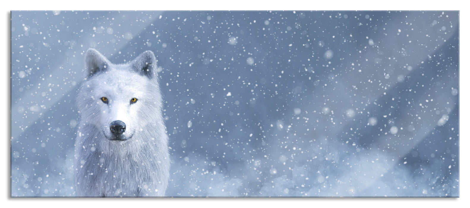 Pixxprint Majestätischer weißer Wolf im Schnee, Glasbild Panorama