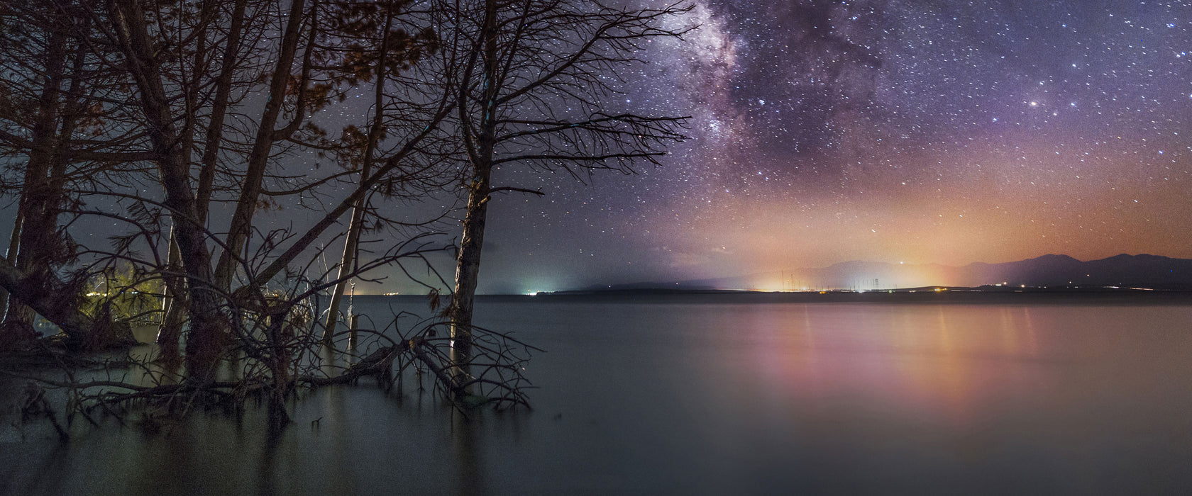 Bäume am See in sternenklarer Nacht, Glasbild Panorama