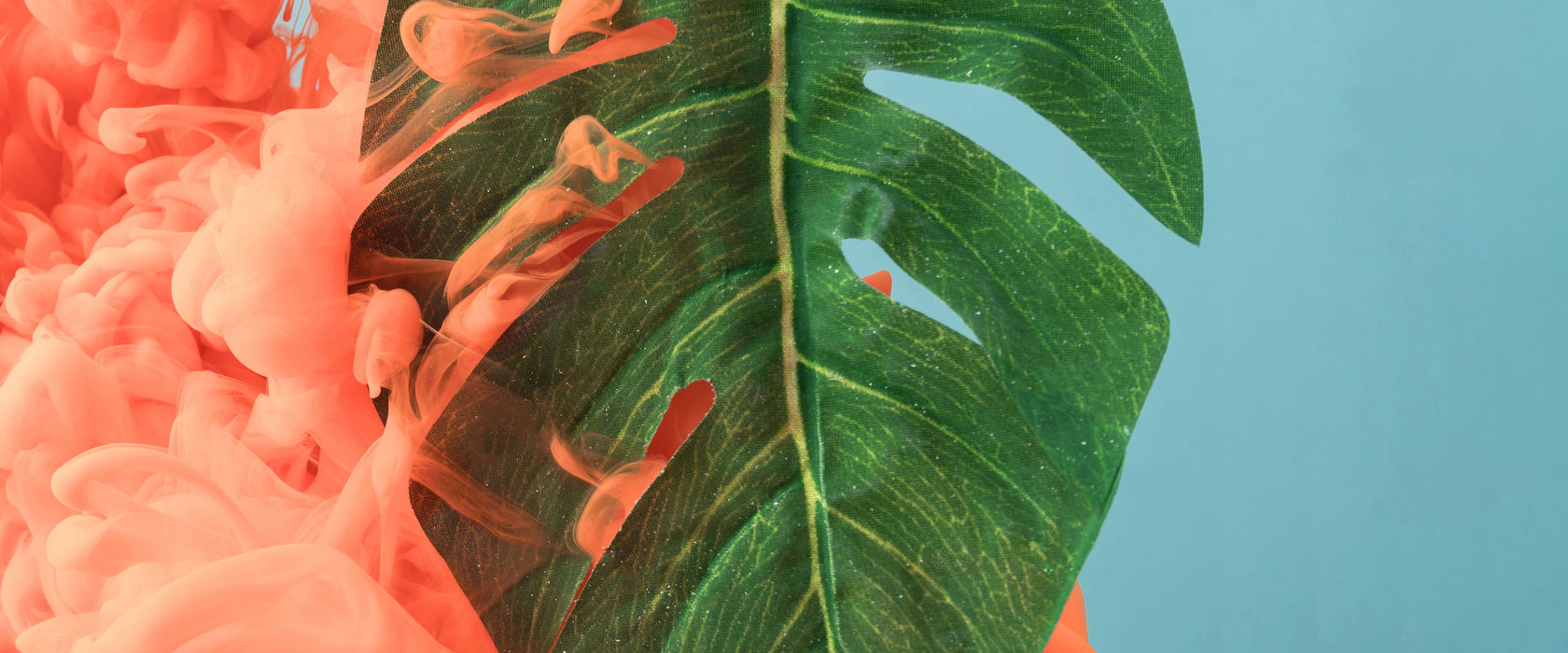 Monstera Blatt mit Pastelwolke, Glasbild Panorama