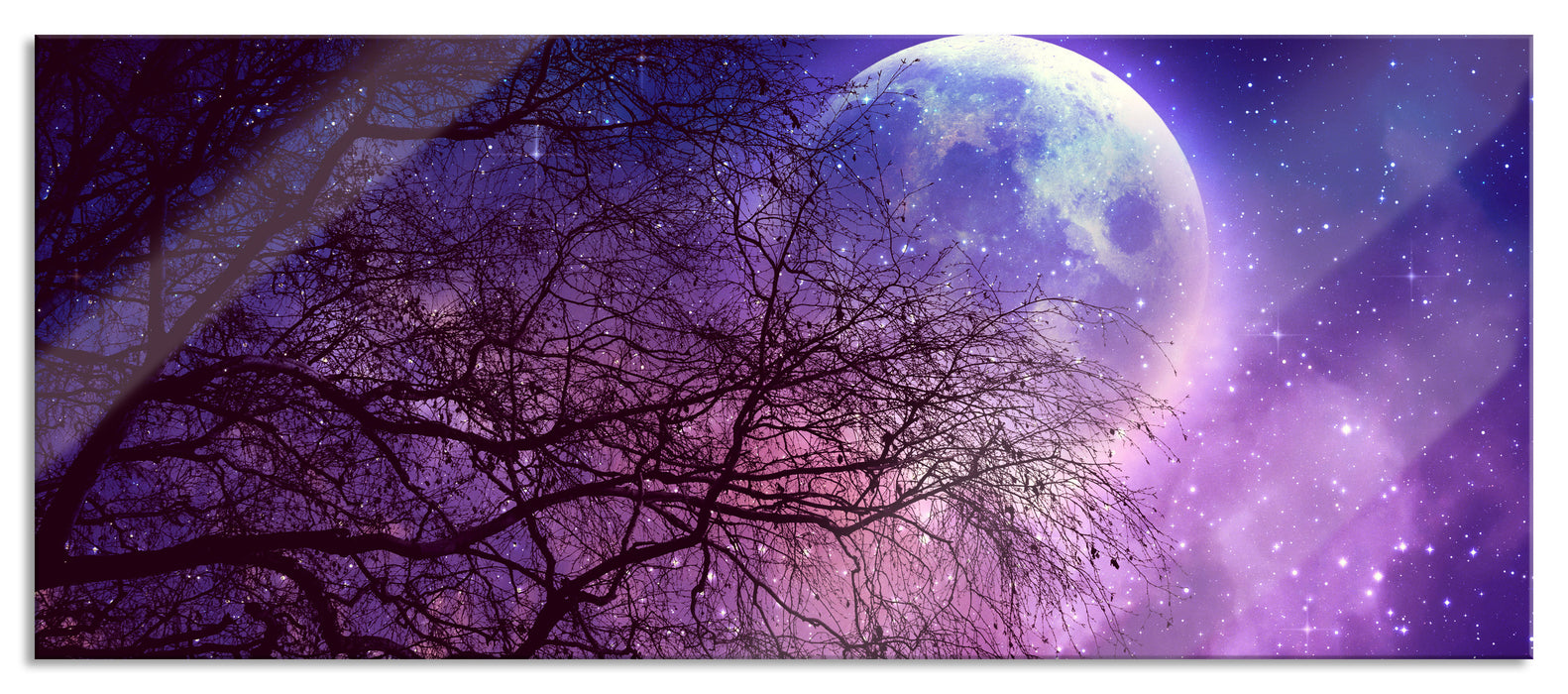 Pixxprint Winterbaum vor Vollmondnacht, Glasbild Panorama
