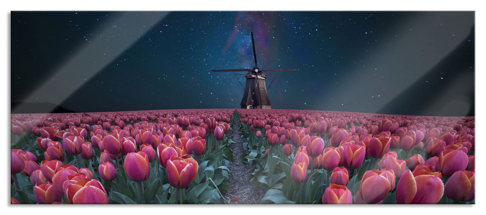 Pixxprint Tulpenfeld mit Windmühle bei Nacht, Glasbild Panorama