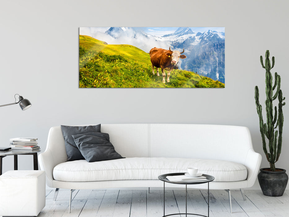 Kuh auf grüner Alm in den Bergen, Glasbild Panorama