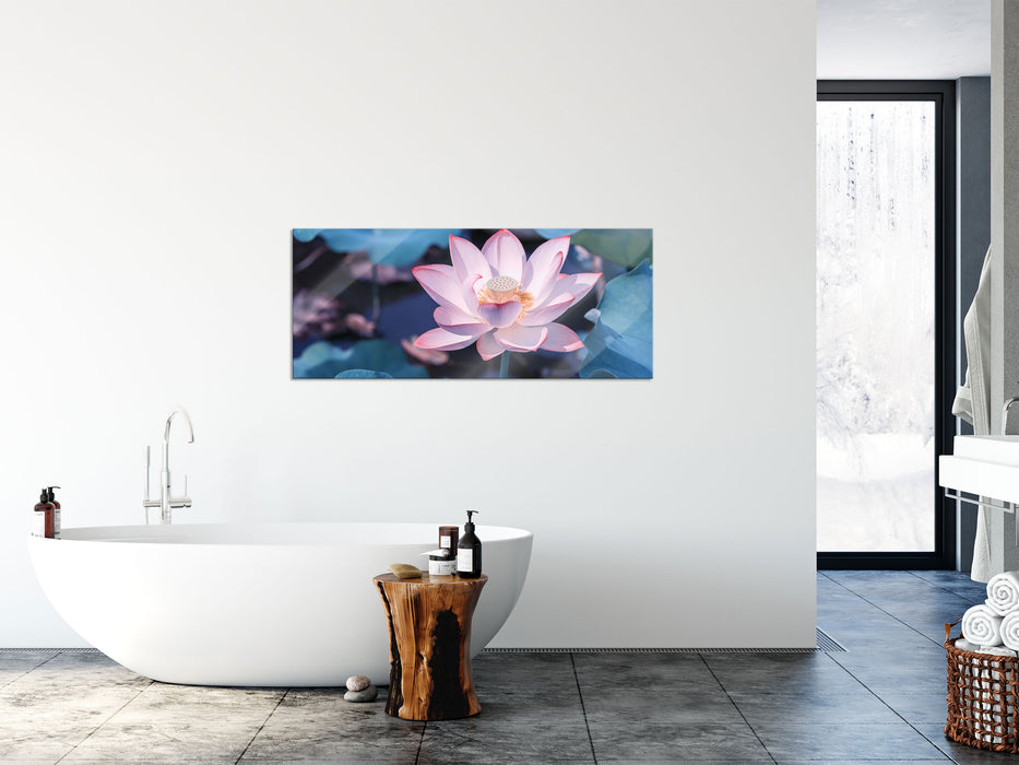 Rosa blühender Lotus Nahaufnahme, Glasbild Panorama