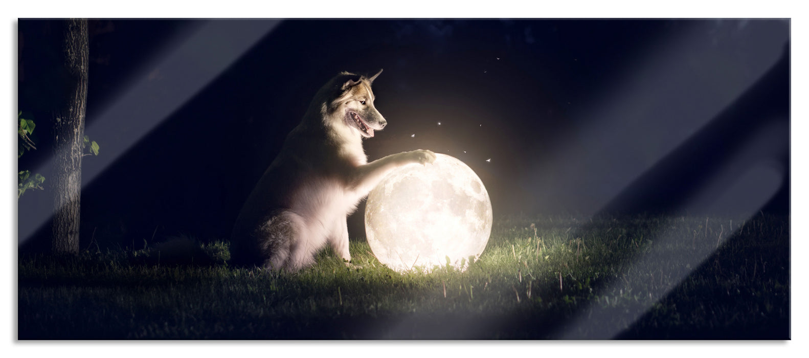 Pixxprint Hund mit leuchtendem Mond bei Nacht, Glasbild Panorama