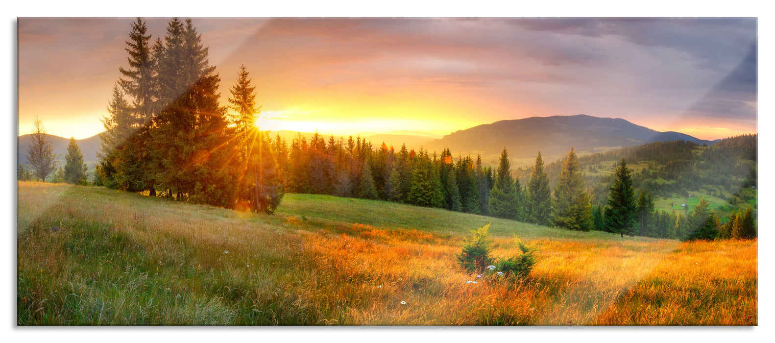 Pixxprint Wiesenlandschaft bei Sonnenuntergang, Glasbild Panorama