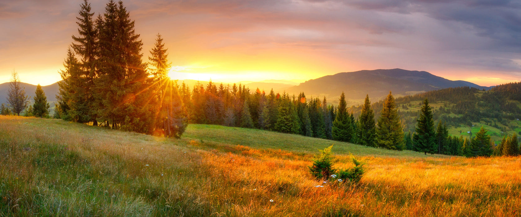 Wiesenlandschaft bei Sonnenuntergang, Glasbild Panorama