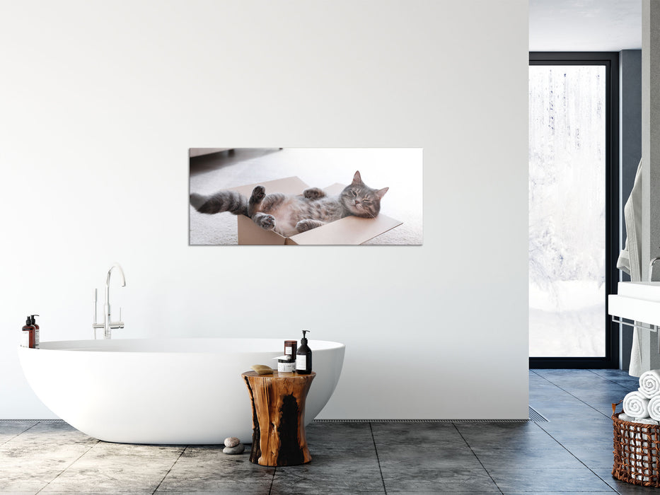 Müde Katze schläft im Karton, Glasbild Panorama