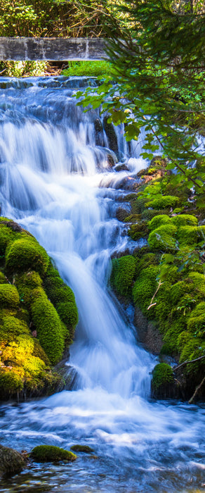 Wasserfall im grünen Wald, Glasbild Panorama