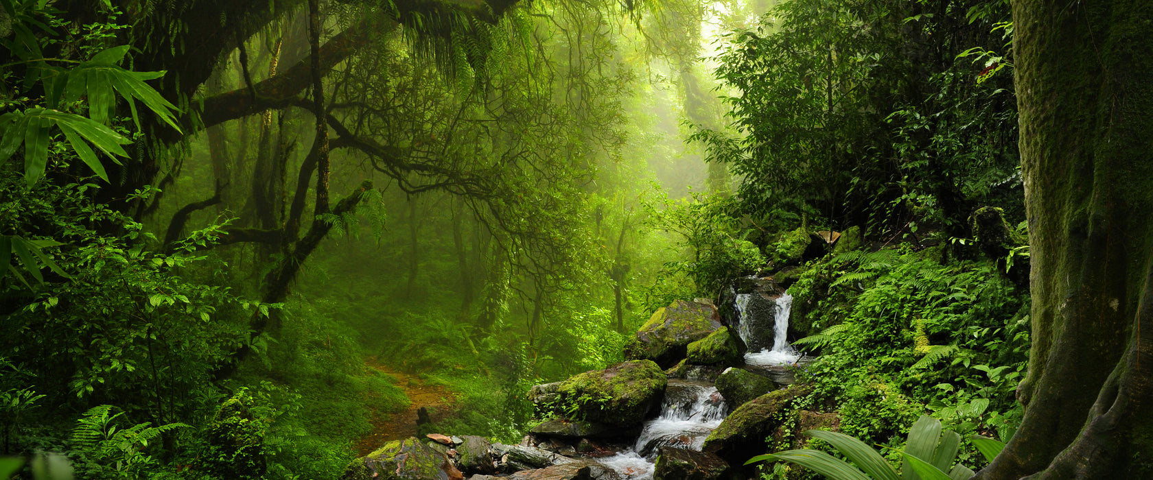 Kleinder Wasserfall im Dschungel, Glasbild Panorama