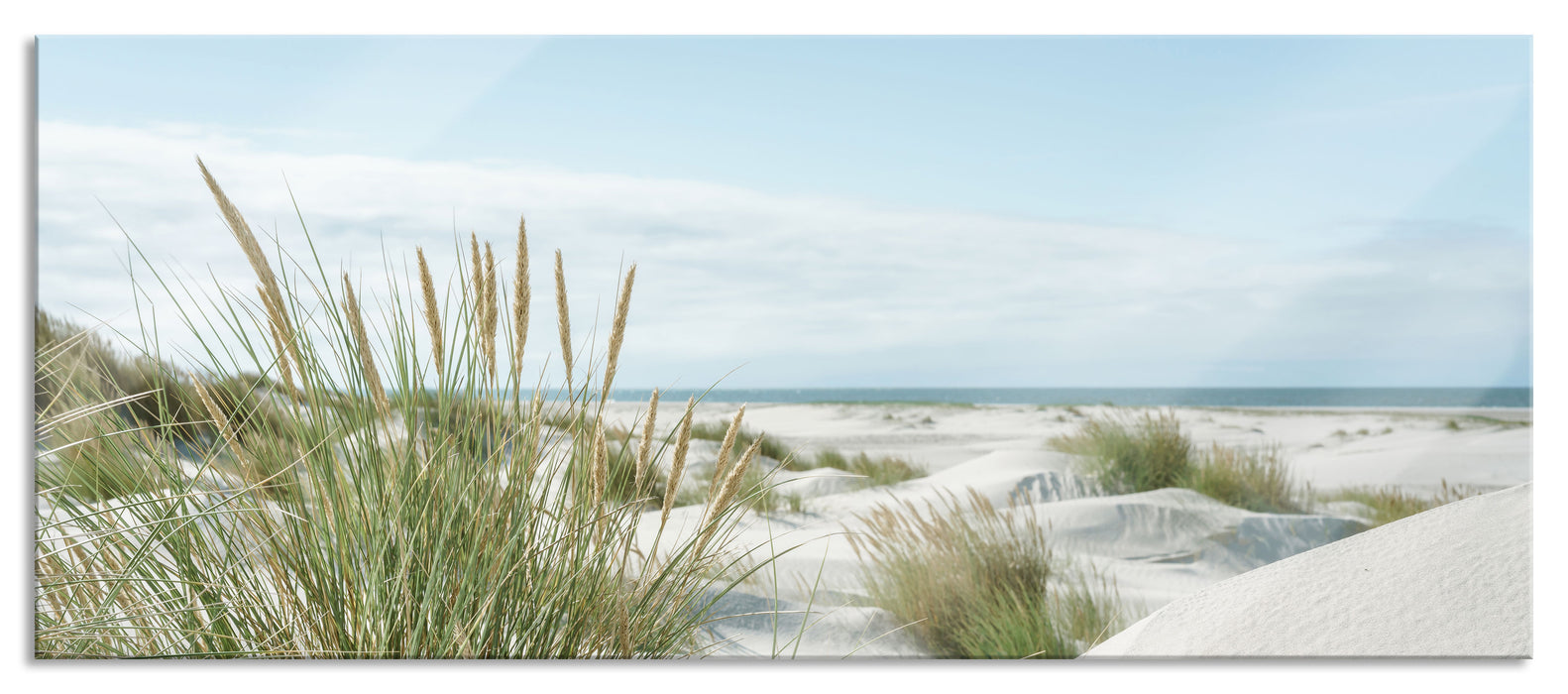 Pixxprint Grasige Dünenlandschaft am Meer, Glasbild Panorama