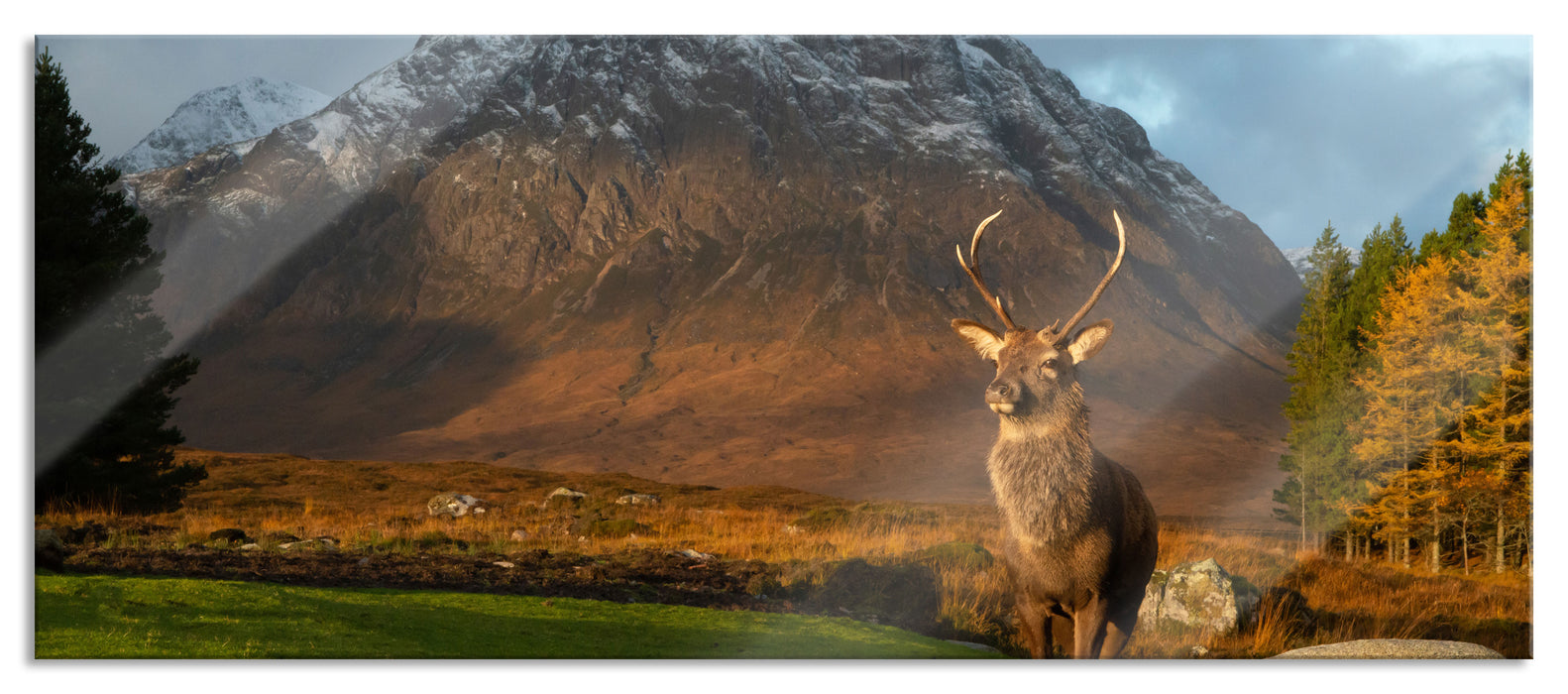 Pixxprint Einsames Rentier vor Berglandschaft, Glasbild Panorama