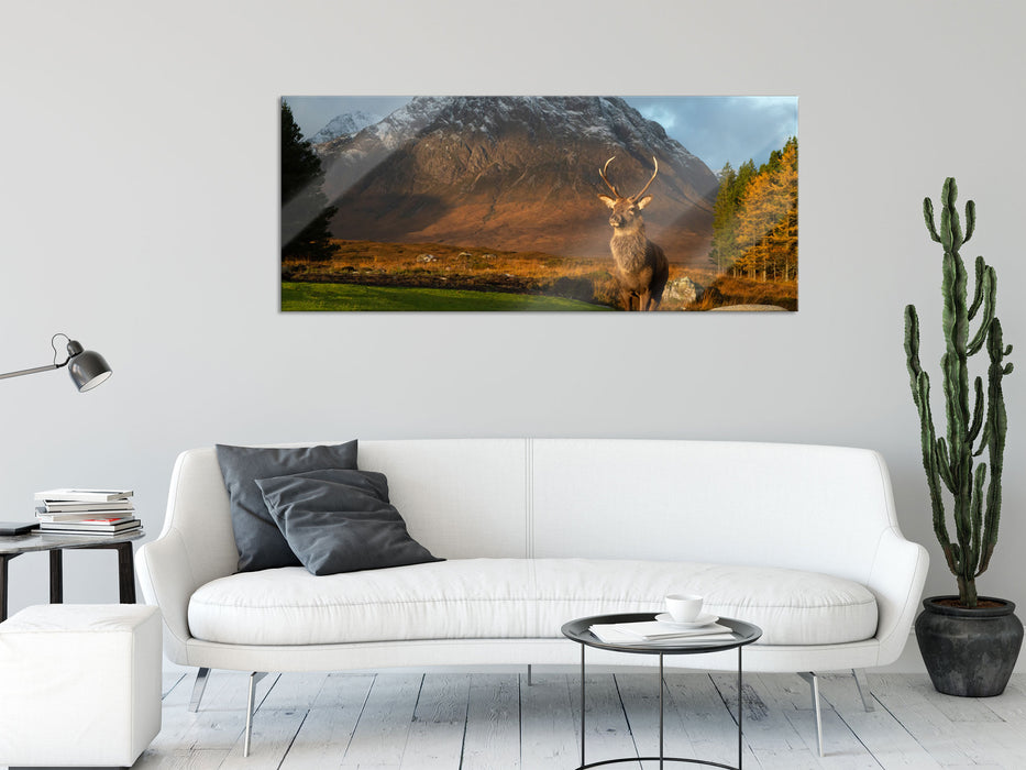 Einsames Rentier vor Berglandschaft, Glasbild Panorama