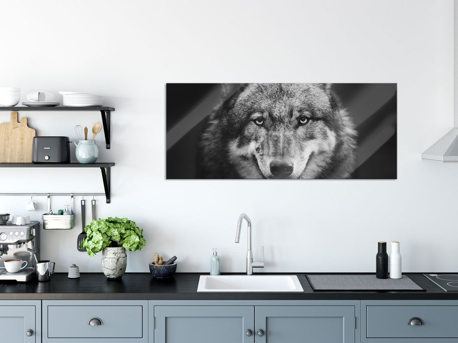 Nahaufnahme Wolf mit offener Schnauze, Glasbild Panorama