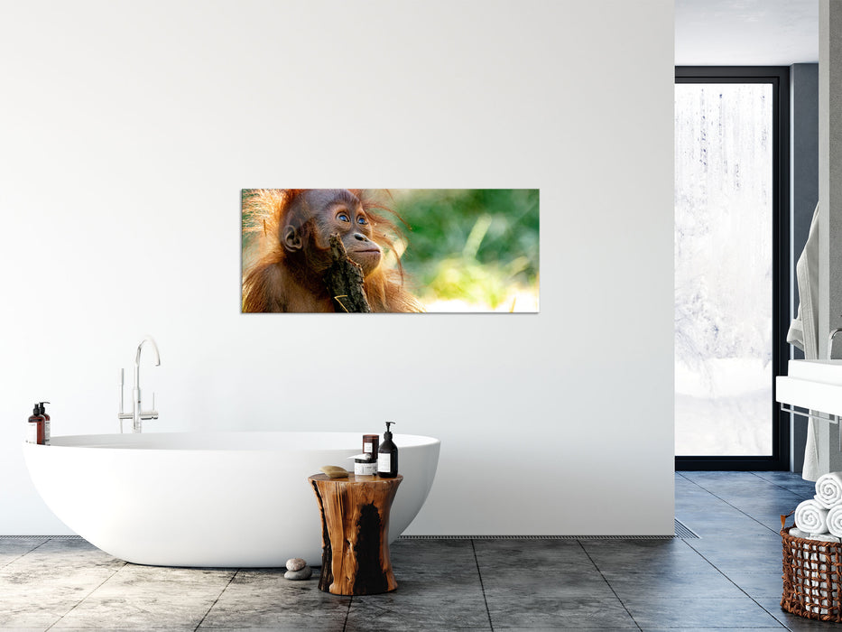 Orang-Utan Baby spielt mit Stock, Glasbild Panorama