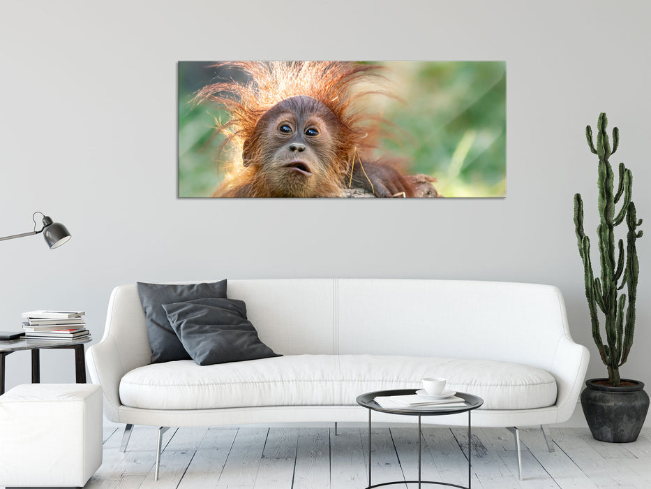 Lustiger Baby Orang-Utan mit Rinde, Glasbild Panorama