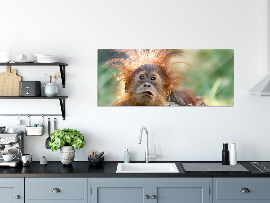 Lustiger Baby Orang-Utan mit Rinde, Glasbild Panorama