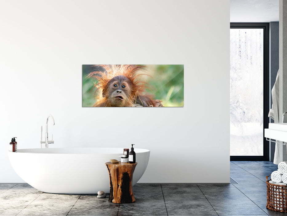 Lustiger Baby Orang-Utan mit Rinde, Glasbild Panorama