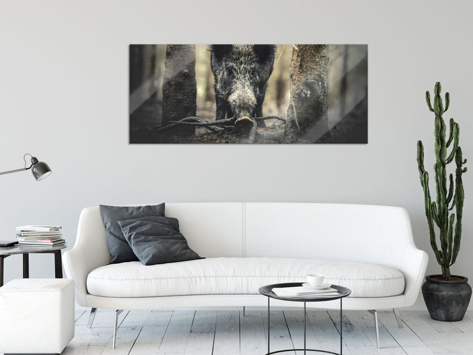 Nahaufnahme Wildschwein im Wald, Glasbild Panorama