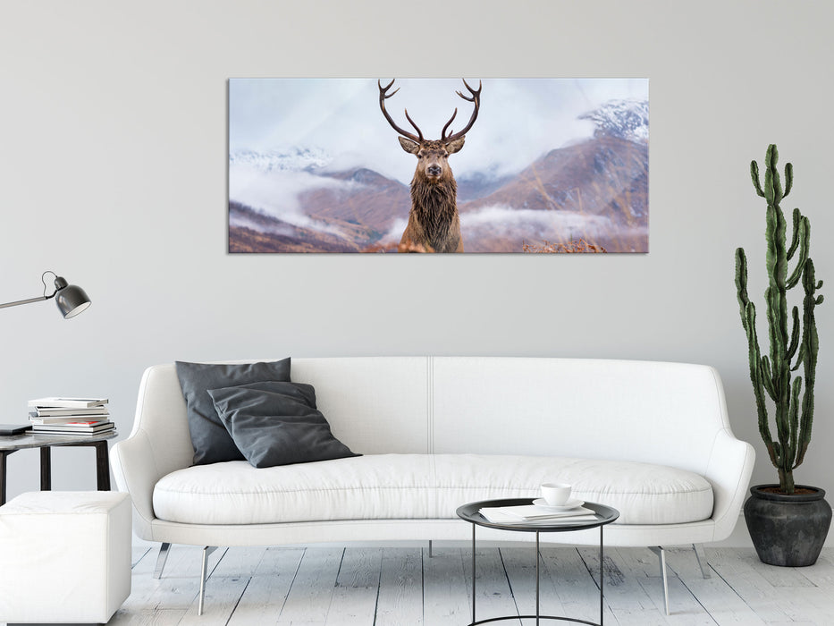 Majestätischer Hirsch in Berglandschaft, Glasbild Panorama