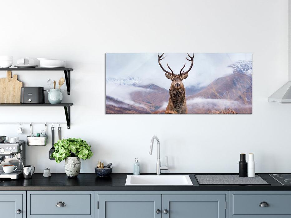 Majestätischer Hirsch in Berglandschaft, Glasbild Panorama