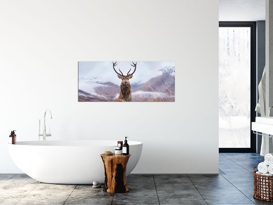 Majestätischer Hirsch in Berglandschaft, Glasbild Panorama