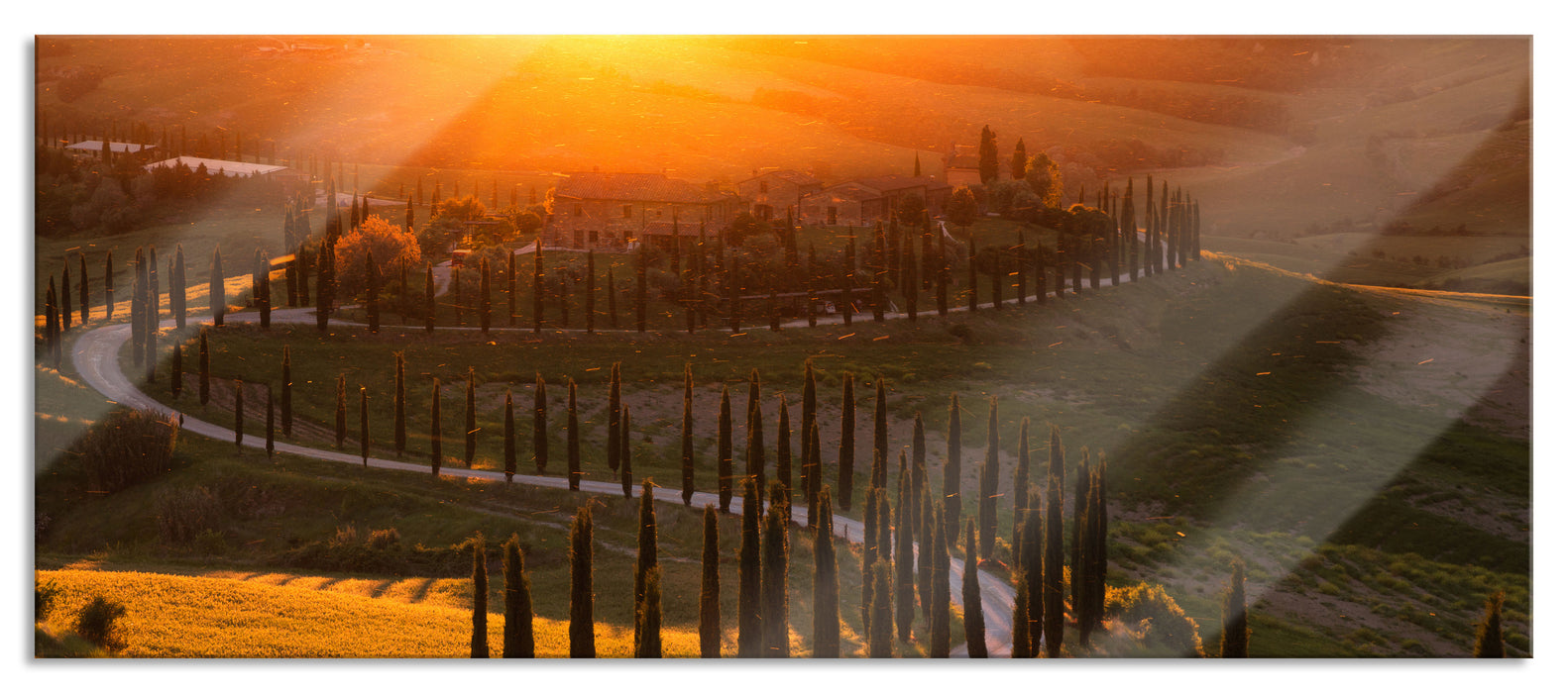 Pixxprint Straße in der Toskana im Sonnenuntergang, Glasbild Panorama