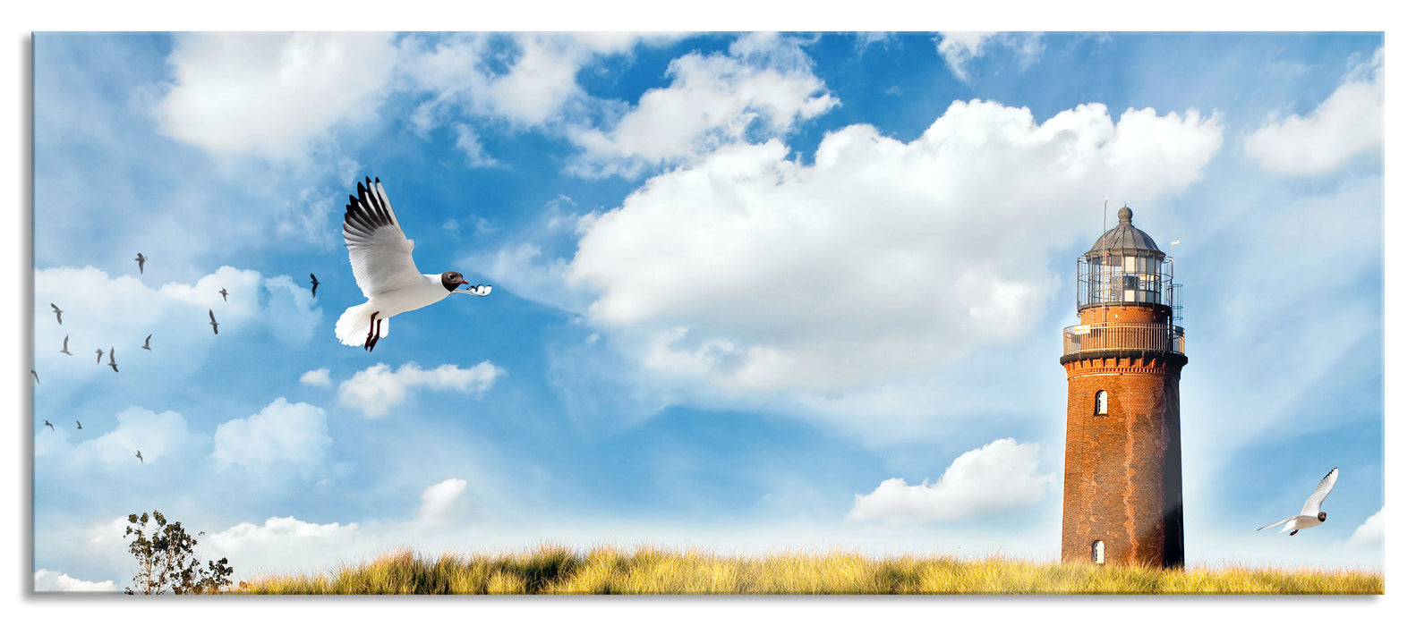 Pixxprint Möwen fliegen am Meer vor Leuchtturm, Glasbild Panorama