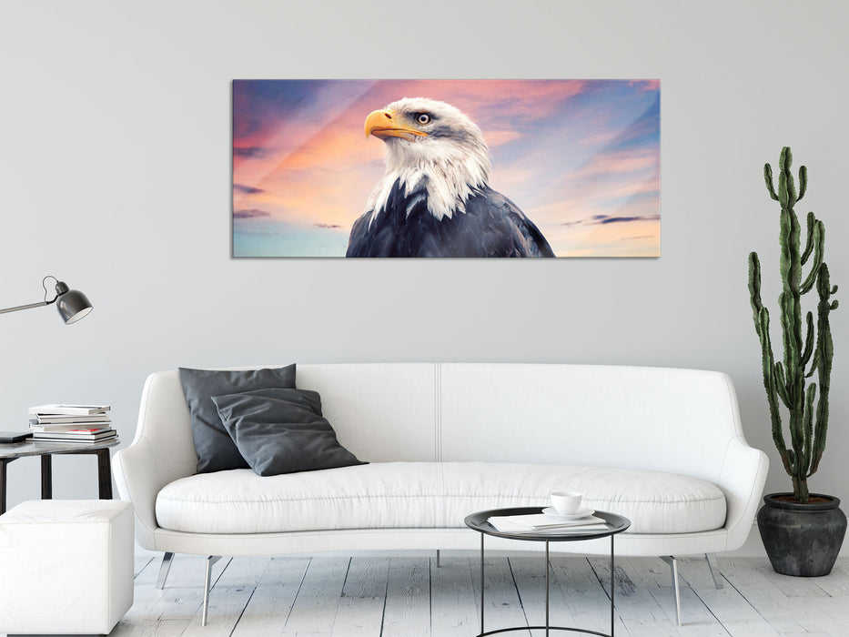 Weisskopfseeadler im Sonnenuntergang, Glasbild Panorama