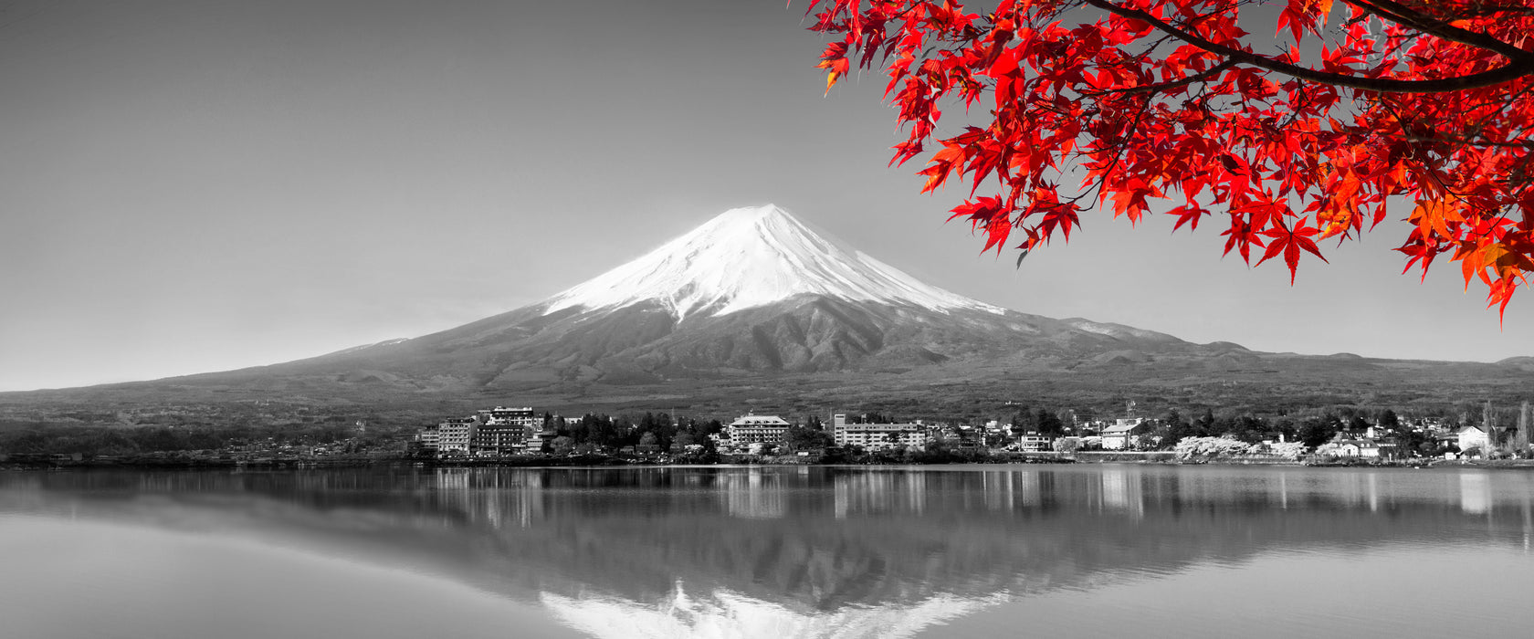 Berg Fujiyama mit herbstlich rotem Baum B&W Detail, Glasbild Panorama